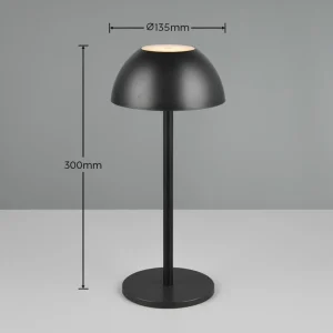 Reality Leuchten Lampe de table LED rechargeable Ricardo, noir, hauteur 30 cm, plastique^ Lampes Décoratives