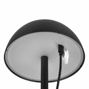 Reality Leuchten Lampe de table LED rechargeable Ricardo, noir, hauteur 30 cm, plastique^ Lampes Décoratives