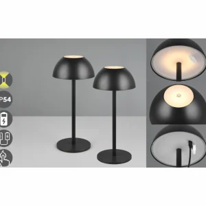Reality Leuchten Lampe de table LED rechargeable Ricardo, noir, hauteur 30 cm, plastique^ Lampes Décoratives
