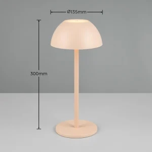 Reality Leuchten Lampe de table LED rechargeable Ricardo, sable, hauteur 30 cm, plastique^ Lampes Décoratives