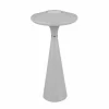 Reality Leuchten Lampe de table LED rechargeable Torrez, gris, hauteur 28,5 cm, CCT^ Lampes Décoratives