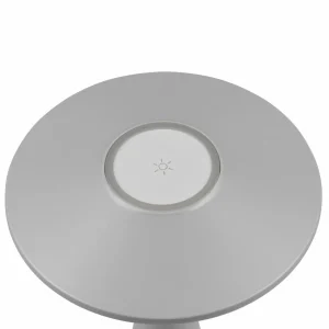 Reality Leuchten Lampe de table LED rechargeable Torrez, gris, hauteur 28,5 cm, CCT^ Lampes Décoratives