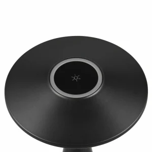 Reality Leuchten Lampe de table LED rechargeable Torrez, noir, hauteur 28,5 cm, CCT^ Lampes Décoratives