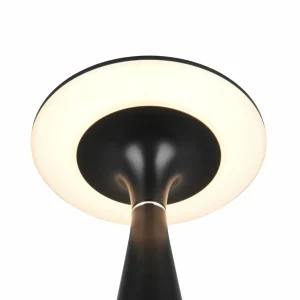 Reality Leuchten Lampe de table LED rechargeable Torrez, noir, hauteur 28,5 cm, CCT^ Lampes Décoratives