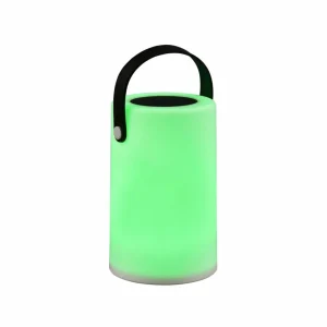 Reality Leuchten Lampe de table solaire LED Garcia avec changement de couleur RGBW^ Lampes Décoratives