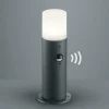 Trio Lighting Lampe pour socle pratique Hoosic avec détecteur^ Potelets Extérieurs Avec Détecteur