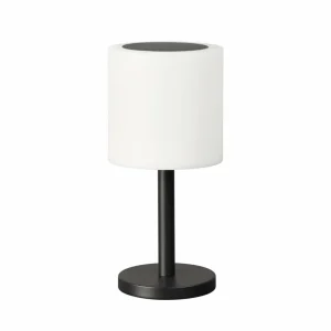 FH Lighting Lampe solaire d'extérieur à LED Milano Pro, RGBW, télécommande^ Lampes Décoratives