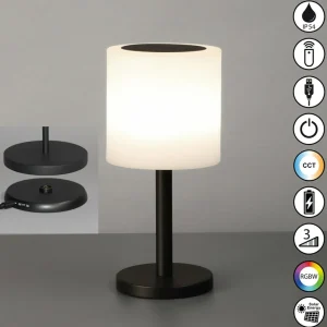 FH Lighting Lampe solaire d'extérieur à LED Milano Pro, RGBW, télécommande^ Lampes Décoratives