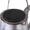 Globo Lampe solaire LED 33652, argent, arrosoir, piquet de terre, métal^ Lampes Décoratives