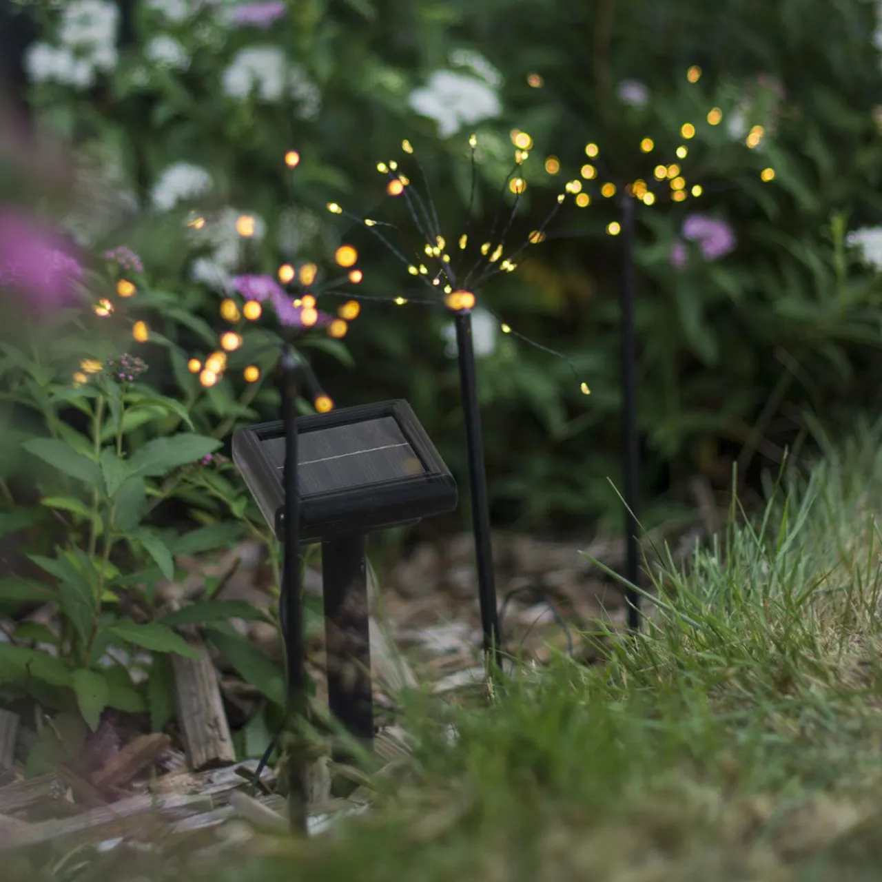 lampe_solaire_led_firework_en_lot_avec_piquets_0.webp STAR TRADING Lampe solaire LED Firework en lot avec piquets^ Lampes Décoratives
