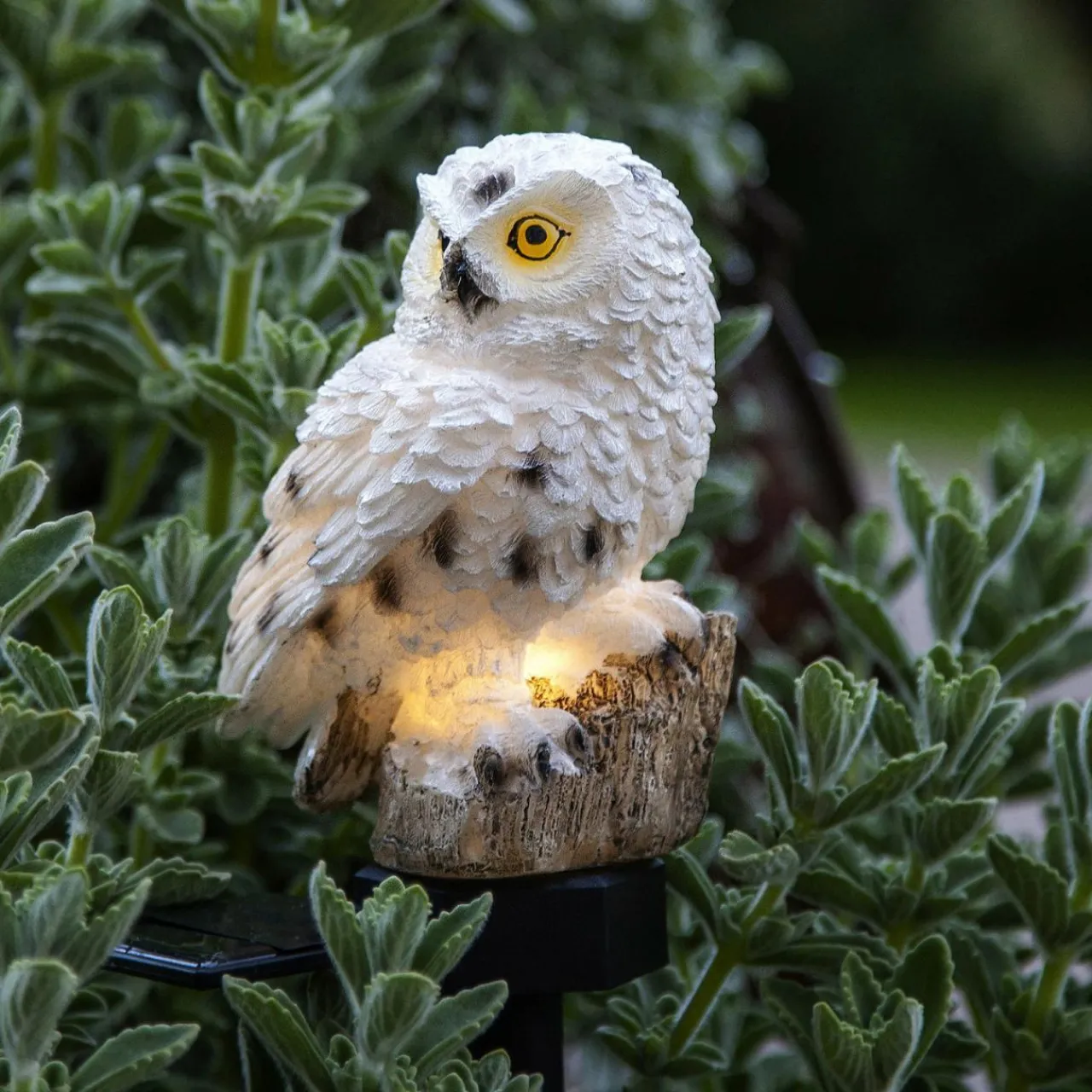 lampe_solaire_led_owl_avec_piquet_0.webp STAR TRADING Lampe solaire LED Owl avec piquet^ Lampes Décoratives