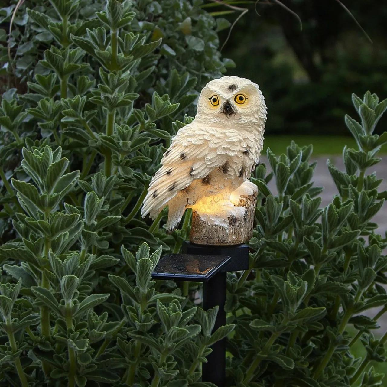 lampe_solaire_led_owl_avec_piquet_1.webp STAR TRADING Lampe solaire LED Owl avec piquet^ Lampes Décoratives