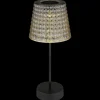 Globo Lampe table solaire 36634-2S lot de 2 noire/fumée^ Lampes Décoratives
