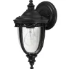 FEISS Lanterne English Bridle IP44 Ø 16,5 cm noire^ Appliques Murales Extérieures