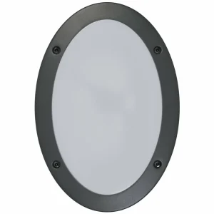 LEDVANCE Applique d'extérieur Endura Classic Orbi, IP65^ Appliques Murales Extérieures