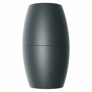 LEDVANCE Endura Classic Cannon applique d'extérieur up^ Appliques Murales Extérieures