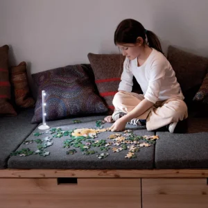 LEDVANCE LEDstixx tube lumineux pour mur ou table^ Lampes Décoratives