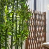 Lindby Guirlande lumineuse LED Kaloyan, 200 flammes, fiche, 2,3 m^ Lampes Décoratives