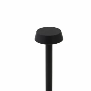 Lindby lampe de table LED rechargeable Noelani, hauteur 30 cm, IP44,^ Lampes Décoratives