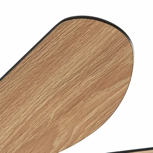Lindby Ventilateur de plafond avec lumière Minja noir silencieux 78 cm^ Ventilateurs