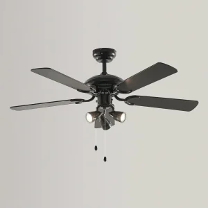Lucande ventilateur de plafond avec lumière Anariki, silencieux, noir^ Ventilateurs