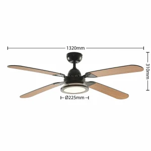Lucande Ventilateur de plafond LED Tedric, noir, silencieux, 133 cm^ Ventilateurs