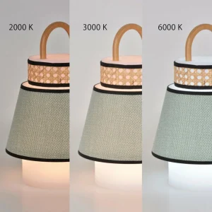 MARKET SET Singapour lampe terrasse LED USB algue^ Lampes Décoratives