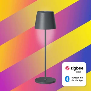 tint Müller Licht Lampe à poser LED rechargeable Dalia, aluminium^ Lampes Décoratives