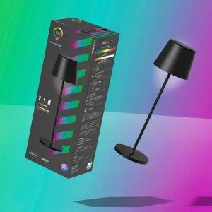 tint Müller Licht Lampe à poser LED rechargeable Dalia, aluminium, noir^ Lampes Décoratives