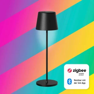 tint Müller Licht Lampe à poser LED rechargeable Dalia, aluminium, noir^ Lampes Décoratives