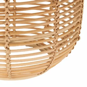 Pauleen Sunshine Nature Lanterne solaire à LED^ Lampes Décoratives