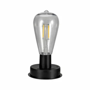 Pauleen Sunshine Nature Lanterne solaire à LED^ Lampes Décoratives
