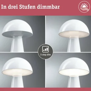 Paulmann Lampe à poser LED rechargeable Onzo, blanc, plastique, IP44^ Lampes Décoratives