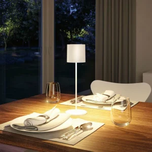 Paulmann Lampe à poser LED rechargeable Tuni, blanc, plastique, IP44^ Lampes Décoratives