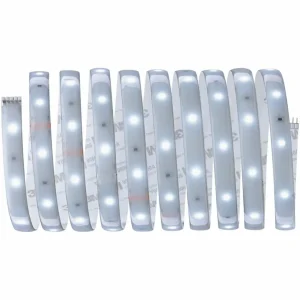 Paulmann MaxLED 250 base IP44 lumière jour 3 m^ Lampes Décoratives