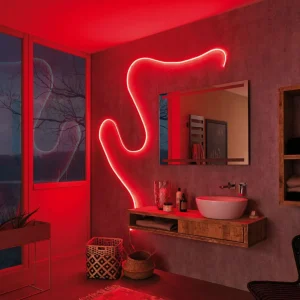 Paulmann MaxLED Flow set de base RVB 5 m^ Lampes Décoratives