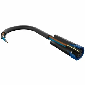 Paulmann Plug & Shine 98849 Alimentation 75 W^ Matériel Électrique