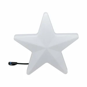 Paulmann Plug & Shine Lampe décorative LED Star Ø 40cm^ Lumière De Noël