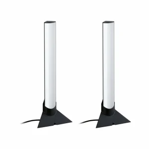 Paulmann Set de 2 EntertainLED Lightbar Dynamic RVB 30cm, pied^ Lampes Décoratives