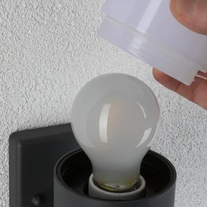 Paulmann Tubs applique d’extérieur, dimmable^ Appliques Murales Extérieures