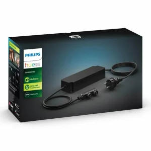 Philips Hue alimentation extérieure x2 24 V 100 W^ Tension Constante