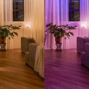 Philips Hue module interrupteur mural^ Matériel Électrique