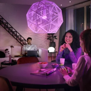 Philips Hue passerelle^ Ponts De Connexion