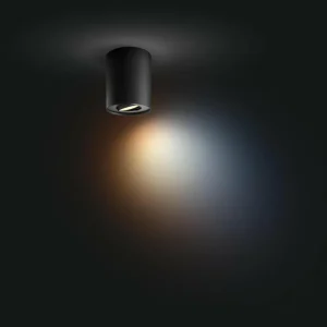 Philips Hue Pillar Downlight LED, interrupteur à variateur, noir^ Spots Connectés