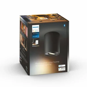 Philips Hue Pillar Downlight LED, interrupteur à variateur, noir^ Spots Connectés