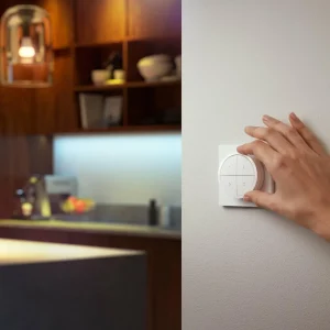 Philips Hue Tap Dial interrupteur, blanc^ Interrupteurs Connectés