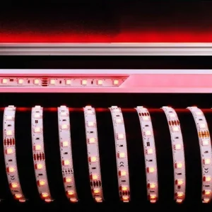 Deko-Light Ruban LED flexible 484 nm 60 W 500x1x0,3 cm^ Lampes Décoratives
