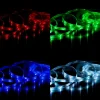 Briloner Ruban RVB LED WiFi, 500 cm, avec télécommande^ Lampes Décoratives