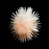 STERNTALER 2021 étoile en papier 3D Ø 45 cm blanc^ Lumière De Noël