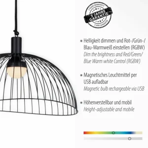 JUST LIGHT. Suspension LED David à batterie, fer, dimmable^ Lampes Décoratives